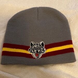 Loyola University Chicago Ramblers Gray Beanie